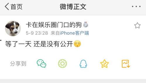 今日吃瓜呱呱爆料网站最新,吃瓜呱呱曝惊天大瓜，揭秘娱乐圈幕后真相  第2张