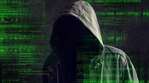 黑客爆料图片最新,揭秘最新网络攻击手段与安全漏洞