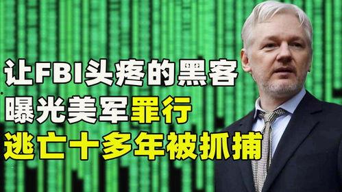 黑客最新爆料电话是多少,黑客最新爆料，神秘电话号码引发网络热议！