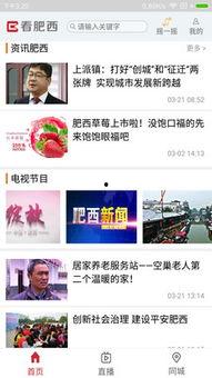 肥西女婿爆料新闻最新情况,事件真相逐渐浮出水面