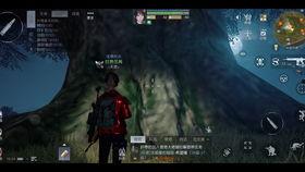 黎明觉醒国际服最新爆料,神秘势力崛起，战火重燃全球